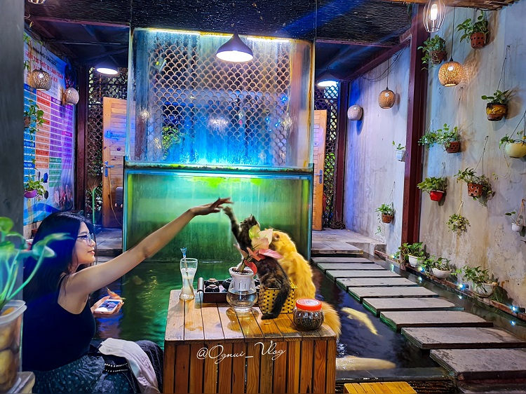 Cận cảnh quán cà phê cá Koi tiền tỷ ở Hà Nội từng được vinh danh trên báo Mỹ - 8