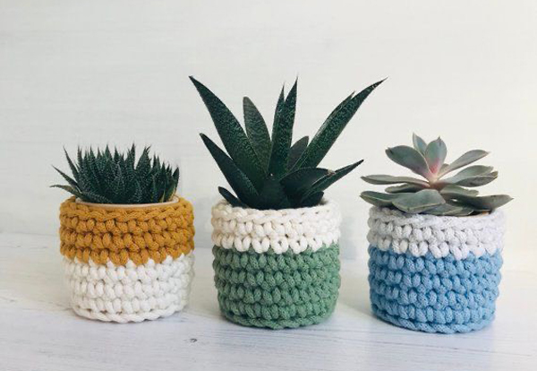 Chiếc chậu cây bằng thủy tinh có bọc len để tránh vỡ.