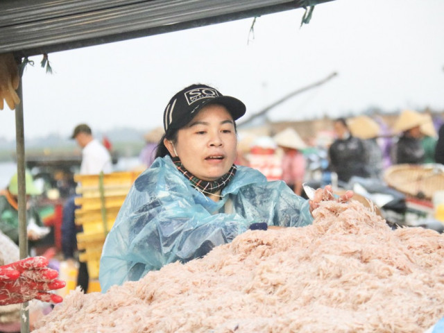 Tin tức trong ngày - Ngư dân Hà Tĩnh trúng đậm ruốc biển, thu tiền triệu mỗi ngày