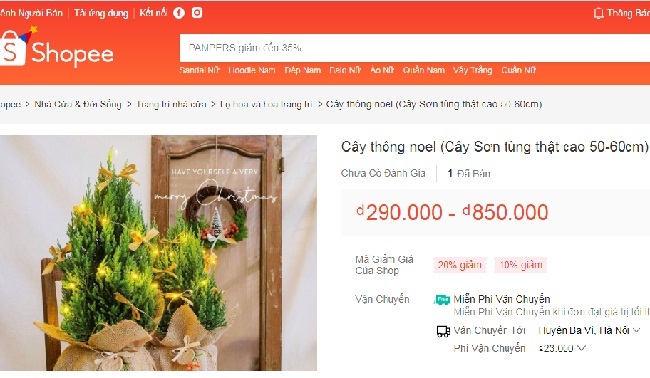 Cây sơn tùng mini đắt hàng trên chợ mạng được nhiều người dùng để trang trí Noel