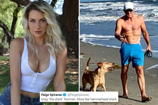 Paige Spiranac châm chọc huyền thoại làng golf thế giới Greg Norman là "cá mập đầu búa"