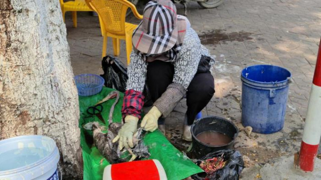 Chỉ với một phích nước,một chiếc thùng nhựa, những chú chim với sải cách rộng hàng mét đã bị giết thịt