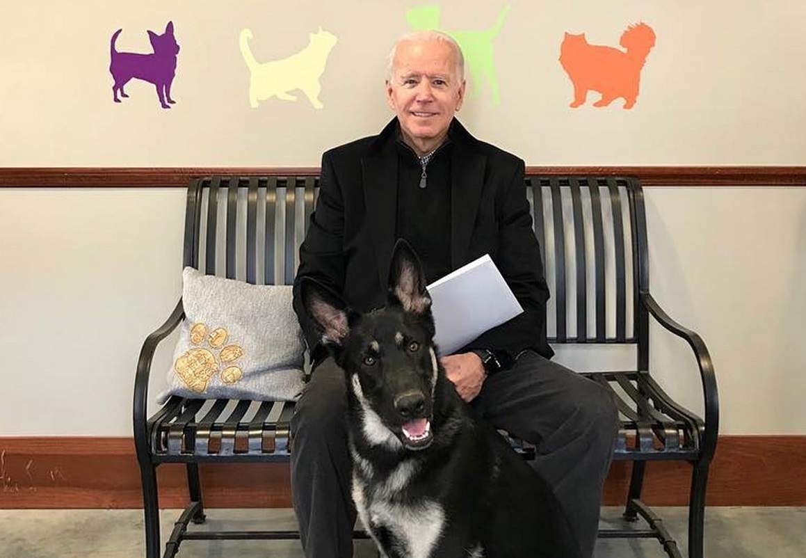 Ông Biden và chú chó Major (ảnh: CNN)