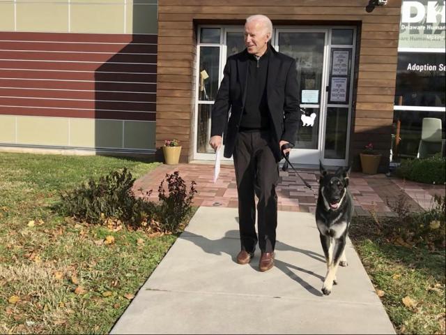 Thế giới - Cái chân bị thương của ông Biden và sự khác biệt so với ông Trump