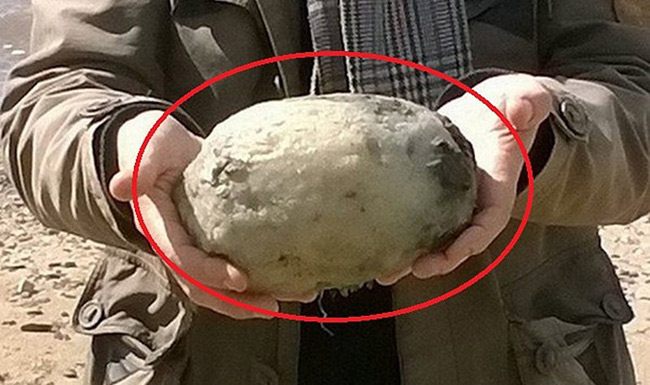 Long diên hương được mệnh danh là báu vật của biển cả và vàng nổi.
