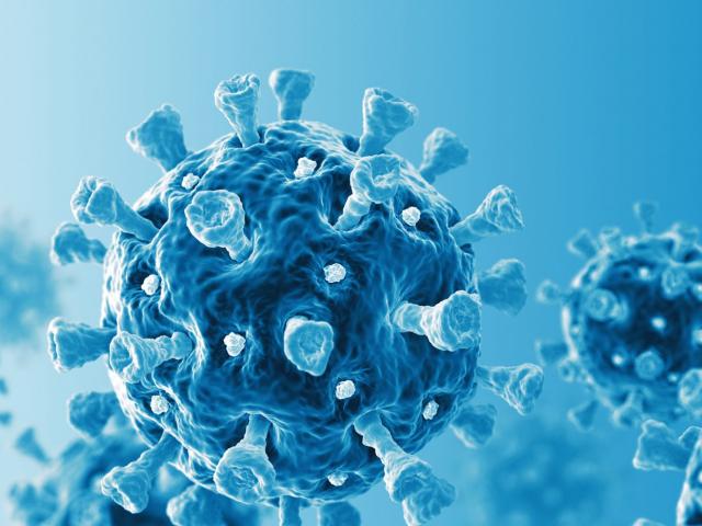 Tin tức trong ngày - VIDEO: Lịch trình ca COVID-19 số 1349 đi học, tới bệnh viện, quán cà phê, quán ăn