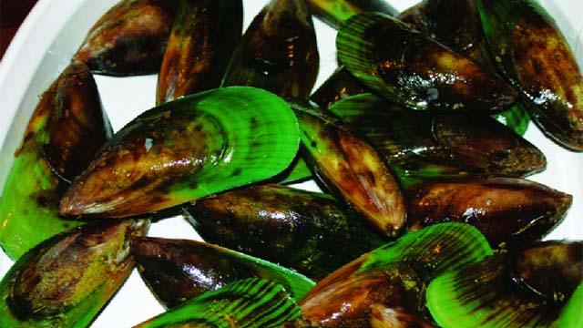 Dầu vẹm xanh giúp cải thiện thoát vị đĩa đệm chèn dây thần kinh hiệu quả