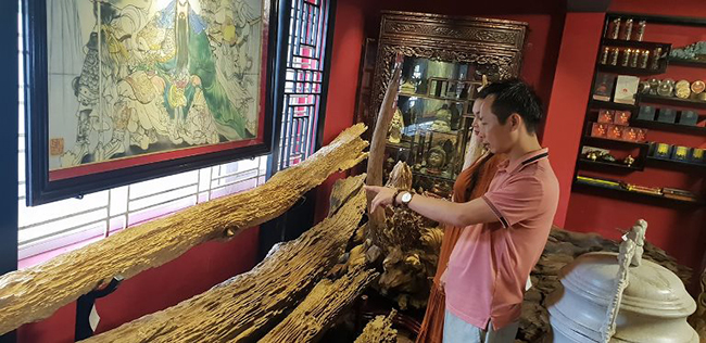 Đặc điểm này giúp các phu trầm phát&nbsp;hiện ra cây có trầm hương hay không.
