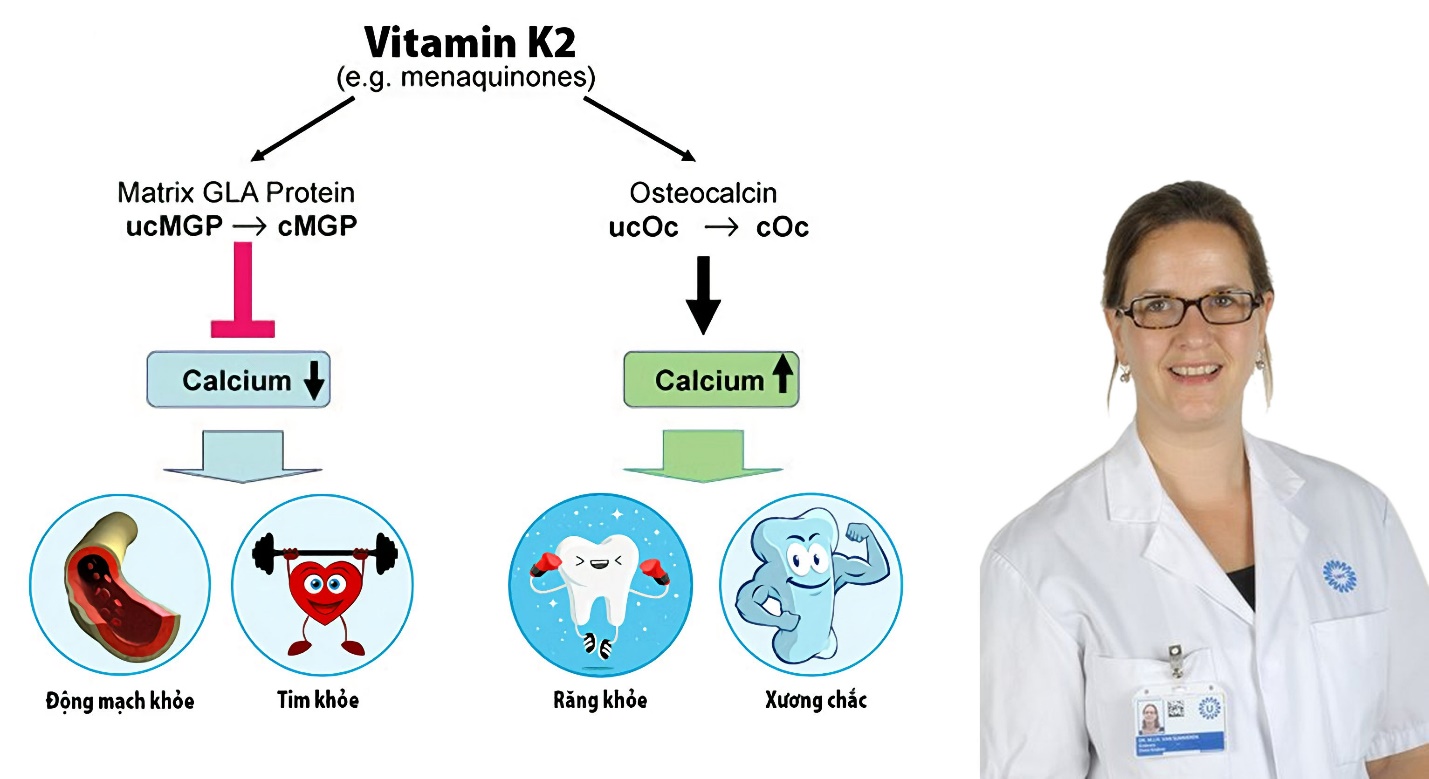 Vitamin K2 có thực sự làm trẻ tăng chiều cao vượt trội? - 2