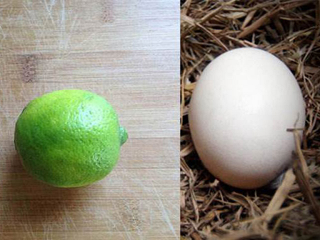 Sức khỏe đời sống - Thiếu máu não, đau đầu, mất ngủ tầm bổ không đỡ, chữa mãi không khỏi: Phải làm đúng 1 bước này mới ổn