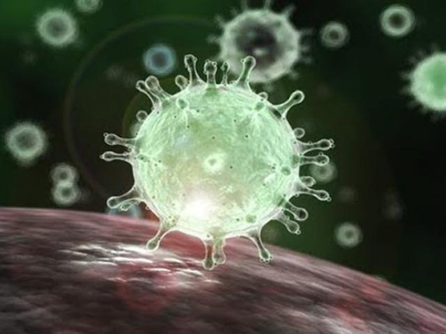 Media - Điều gì xảy ra khi virus Sars-CoV-2 ở trong cơ thể