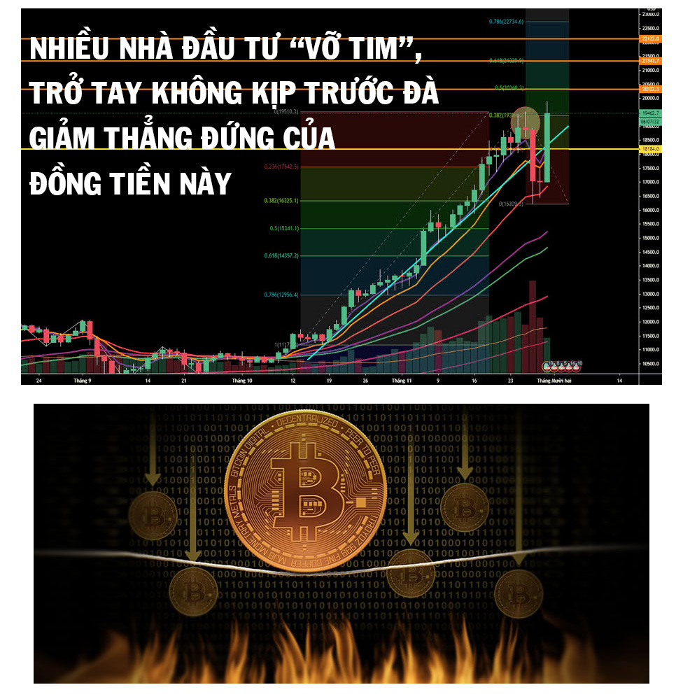 Tiền ảo Bitcoin: Khi giá “nhảy khỏi cửa sổ” và rơi tự do - 8