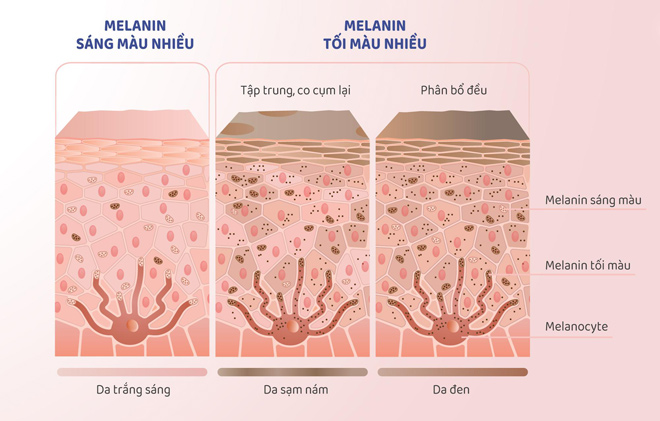 RiTANA: Bí quyết giúp da trắng hồng thần thái như hoa hậu - 3
