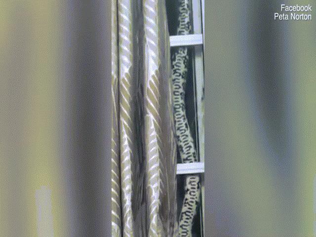 Phi thường - kỳ quặc - Nghe tiếng động lạ trên mái nhà, 2 vợ chồng vội vã nhìn ra cửa sổ thì "chết đứng" vì cảnh tượng trước mắt