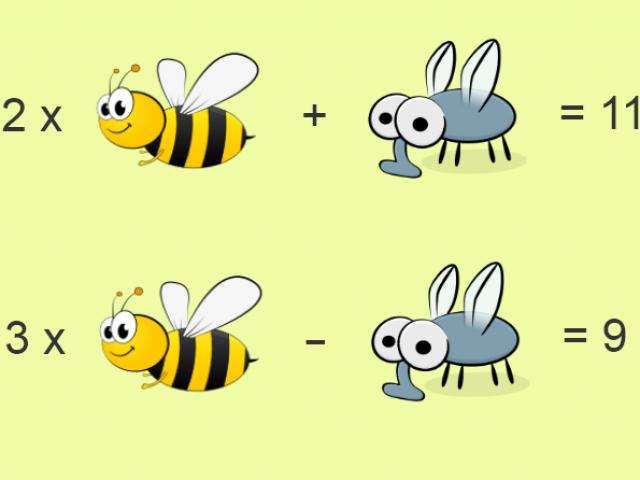 Khởi động tuần mới với bài toán ong và ruồi