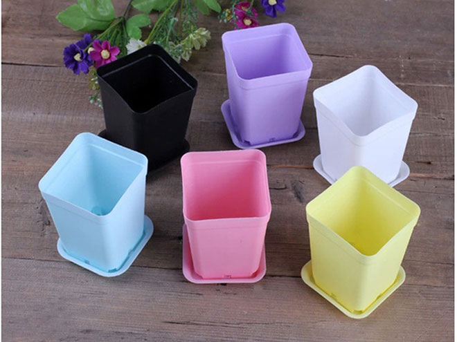 Khám phá top 10 loại chậu nhựa trồng cây bán chạy nhất hiện nay - 1