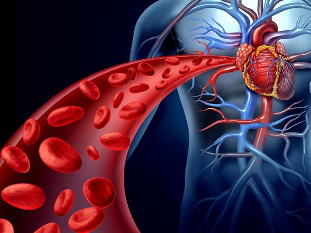 Sức khỏe đời sống - Nếu biết rõ 9 điều này, bạn sở hữu kiến thức sức khỏe quá "đỉnh"