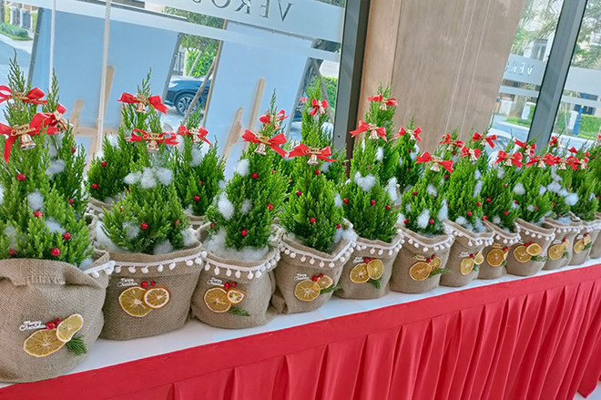 Tháng 12, Verosa Park chào đón mùa Giáng sinh đang tới gần với ánh đèn, cây thông được trang trí khắp các cung đường, nhà mẫu và công viên Symphony Park. Khách hàng tham dự sự kiện ngày 5.12 còn nhận được những cây thông nhỏ xinh xắn.