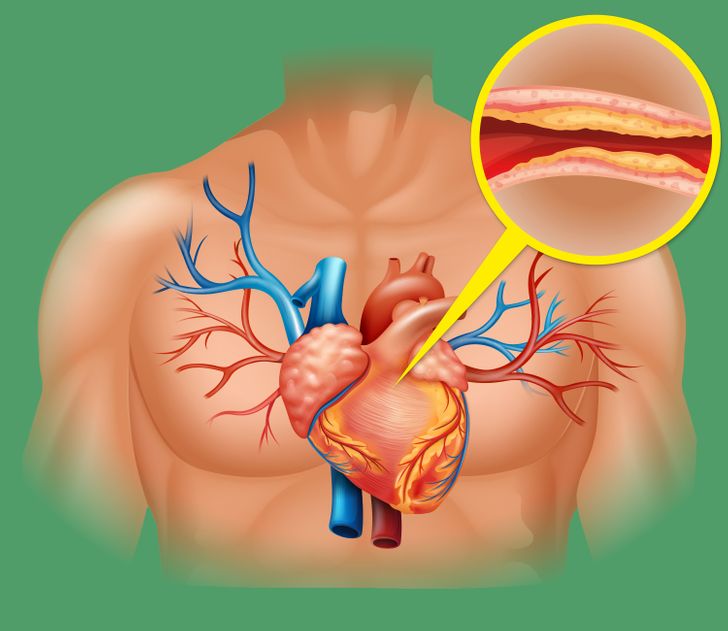 Những tác dụng thần kỳ nhận được nếu ăn hành tây thường xuyên - 2