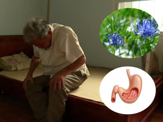 Sức khỏe đời sống - Bất ngờ thoát đau viêm khớp suốt 10 năm nhờ cây Móng Quỷ - Thảo dược lạ cực hay