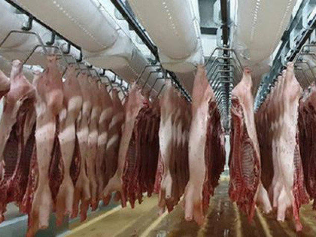 Tin tức trong ngày - Phát hiện virus SARS-CoV-2 trên bao bì thực phẩm đông lạnh, Hà Nội yêu cầu siết chặt khâu kiểm soát