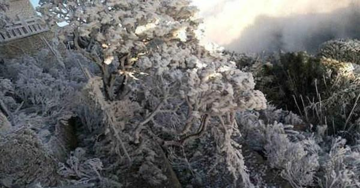 Tin tức trong ngày - Rét đậm ở miền Bắc còn kéo dài bao lâu?