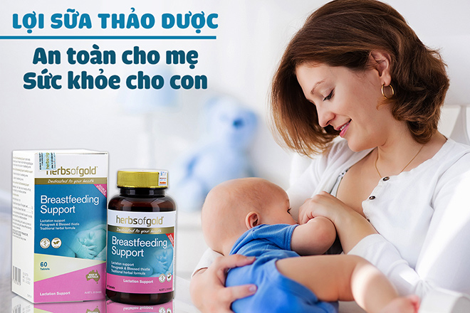 Herbs Of Gold Breastfeeding Support – Viên uống hỗ trợ&nbsp;lợi sữa được nhiều mẹ tin chọn