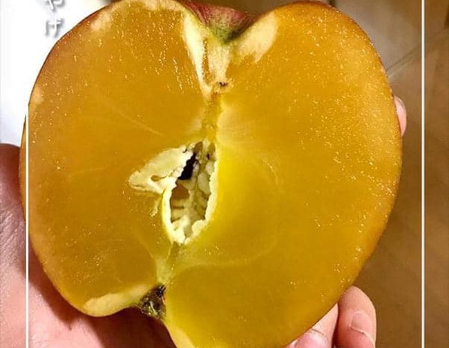 Đây là táo mật Nhật Bản, loại táo cao cấp, ăn một lần “nhớ cả đời” và được các gia đình giàu có ở Việt Nam săn lùng.
