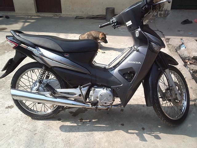 Xe máy - Xe đạp - Có 8 triệu mua được xe máy gì?