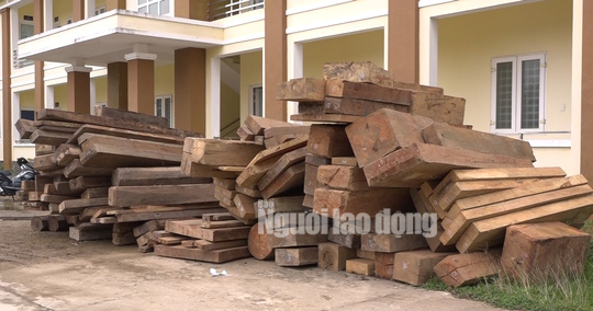 Tang vật thu giữ là hàng chục mét khối gỗ quý hiếm các loại