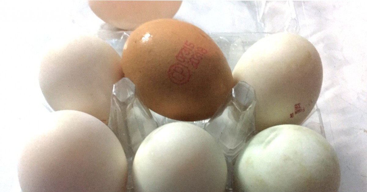 Ẩm thực - Trứng gà và trứng vịt, loại nào bổ dưỡng hơn?