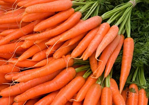 Ăn cà rốt nhiều sẽ giảm được các bệnh về tim mạch, xơ vữa động mạch.