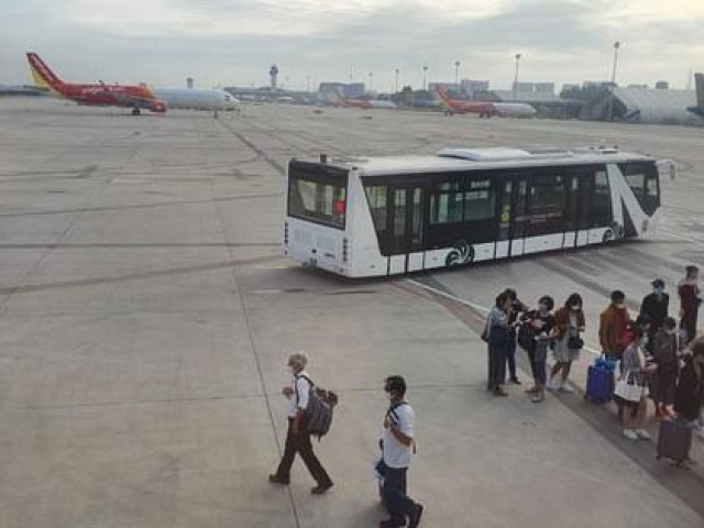 Thị trường - Tiêu dùng - Vé máy bay Tết bắt đầu nóng, thị trường xuất hiện vé giả