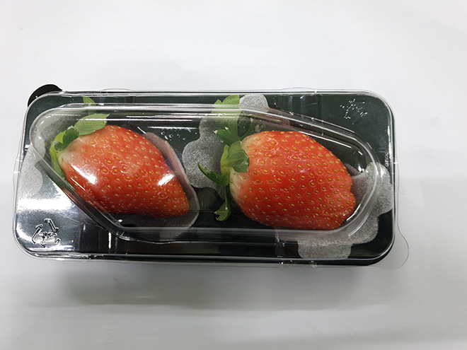 King's Berry là giống dâu tây Hàn Quốc cao cấp với kích thước và chất lượng vượt trội