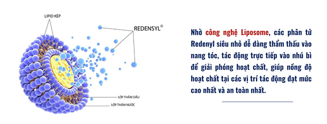 Việc ứng dụng công nghệ Liposome vào hoạt chất Redensyl giúp hoạt chất này thẩm thấu và hoạt động tốt hơn gấp nhiều lần thông thường