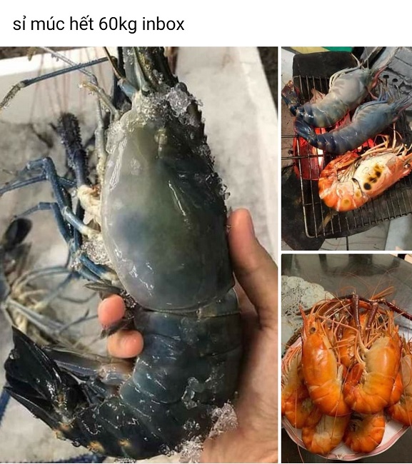 Những con tôm càng xanh "siêu to khổng lồ" được rao bán trên chợ mạng.