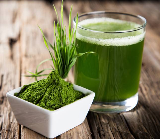 Tảo Spirulina cung cấp đầy đủ dinh dưỡng cho người gầy muốn tăng cân