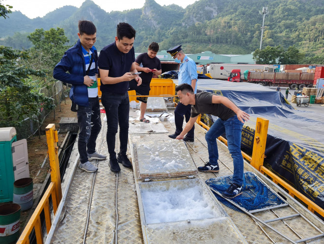 Một xe tải chở hơn 10 tấn cá tầm nhập khẩu Trung Quốc với giá khai báo hải quan là 103.486 đồng/kg chuẩn bị đưa về thị trường nội địa tiêu thụ.