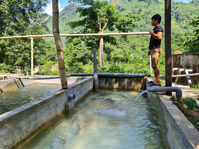 Nhiều hồ nuôi ở Việt Nam bỏ hoang, nông dân khốn đốn vì cá tầm Trung Quốc giá rẻ phủ khắp thị trường - 9