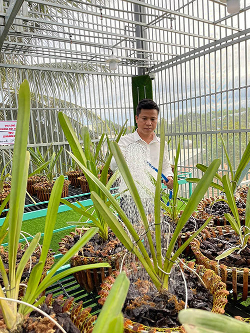 Nguyễn Diên Trung: Người sở hữu vườn lan rừng với hơn 2.000 giò - 2