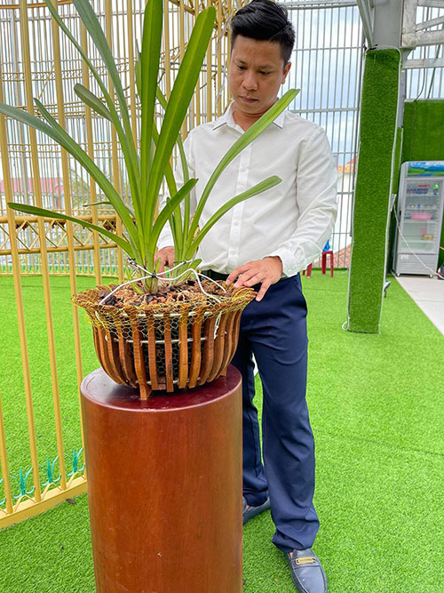 Nguyễn Diên Trung: Người sở hữu vườn lan rừng với hơn 2.000 giò - 4