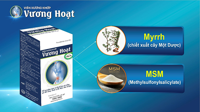 Vương Hoạt – sản phẩm “chuyên biệt” cho người đau lưng, đau vai gáy, thoái hóa cột sống - Chuyên gia khuyên dùng - 3