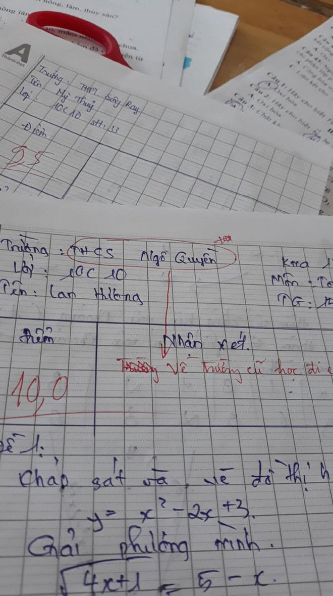 Đạt điểm tuyệt đối, nữ sinh vẫn nhận về lời phê "đắng lòng" từ cô giáo - 1