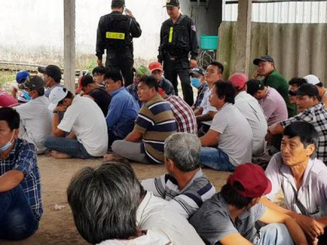 Pháp luật - Clip: Trinh sát hóa trang phá trường gà kiên cố ở Tiền Giang