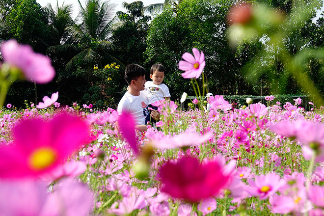 Vườn hoa Mãn Đình Hồng tại Tiền Giang