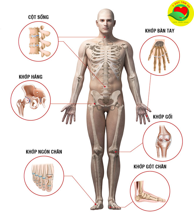 Xương khớp Tâm An: Tận tâm thầy thuốc, an lòng người bệnh - 2