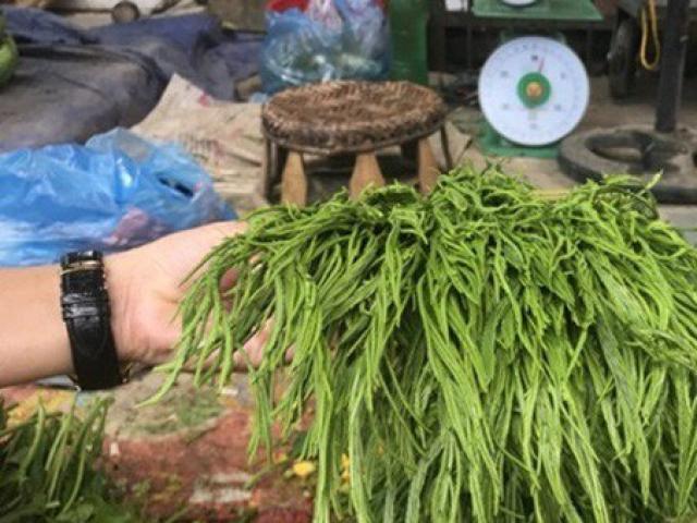 Thị trường - Tiêu dùng - "Lộc trời" bốc mùi thối nồng nặc, mấy năm nay "sốt" bán kiếm tiền vèo vèo