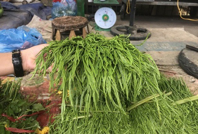 &#34;Lộc trời&#34; bốc mùi thối nồng nặc, mấy năm nay &#34;sốt&#34; bán kiếm tiền vèo vèo - 2