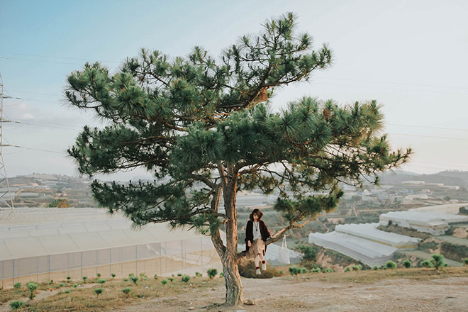 Đà Lạt có rất nhiều điểm du lịch mới thú vị.