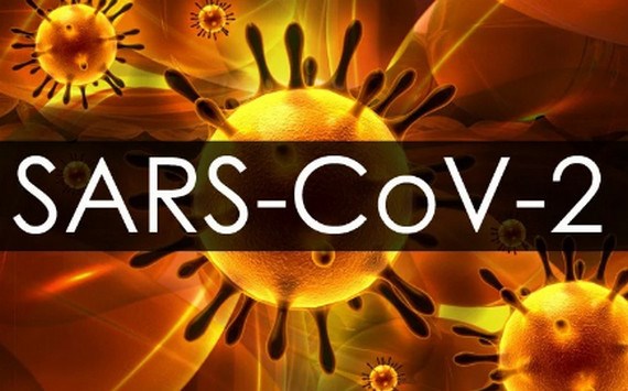 Virus SARS-CoV-2 dưới kính hiển vi điện tử. Ảnh: Medscape